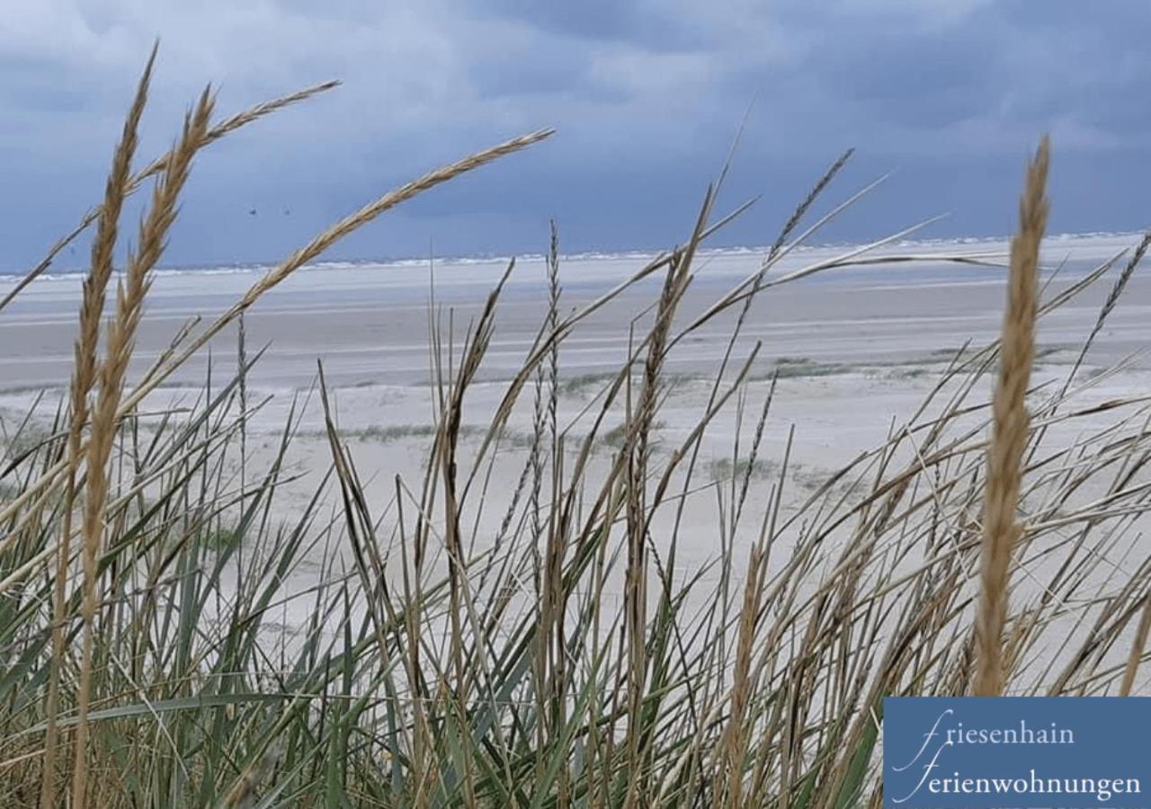 Friesenhain Ferienwohnungen Sankt Peter-Ording Eksteriør bilde